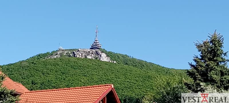 20250501_092918.jpg