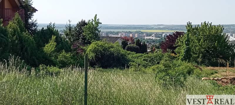 20250501_092943.jpg