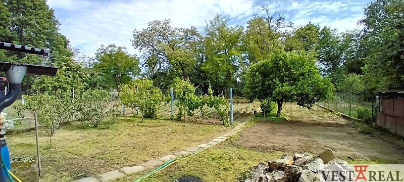 20250527_093704.jpg