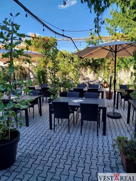 53ce44c2-4be0-46cf-9505-e9a72606fbeb (2).jpeg