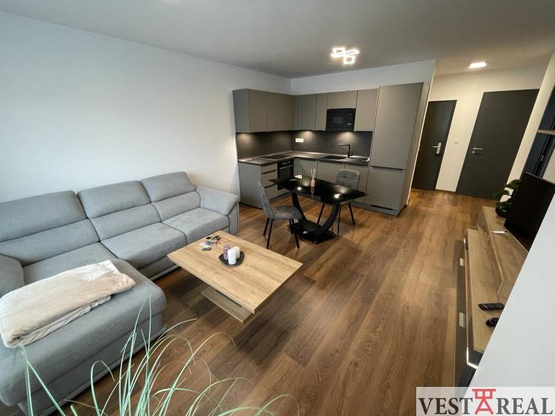 obývacia izba s kuchyňou.jpg