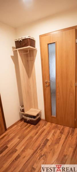 Chodba s podlahou s dreveným dekorom a dverami v 3-izbovom byte.