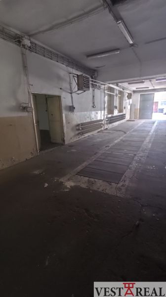 1000010295.jpg