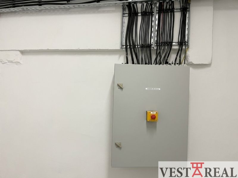 elektrina.jpg