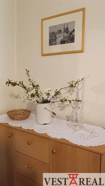 189054681 (2).jpg